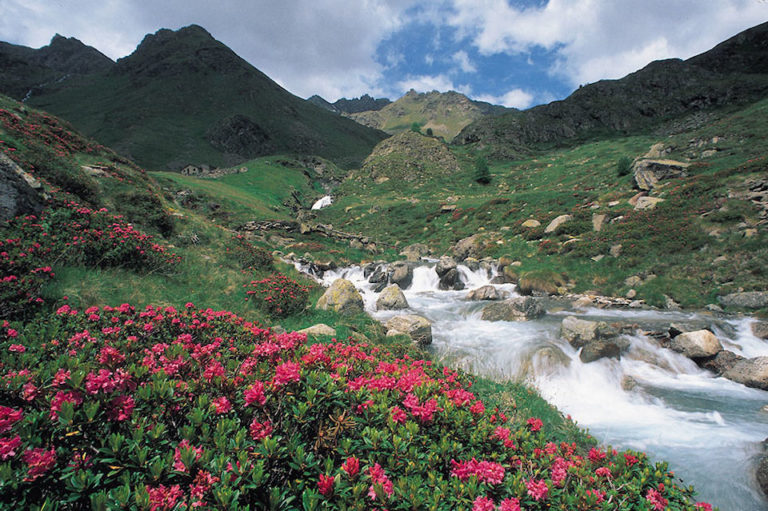 Incontri, mostre, esperienze