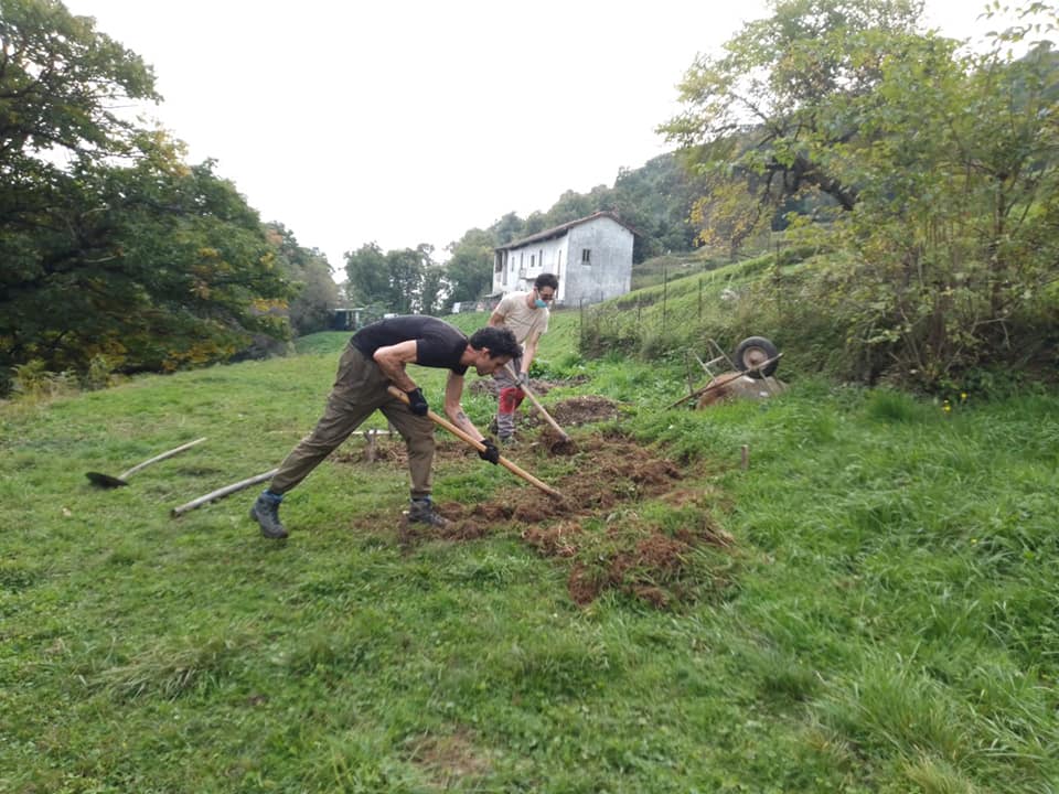 I primi mesi di Transizioni: ritorno alla terra
