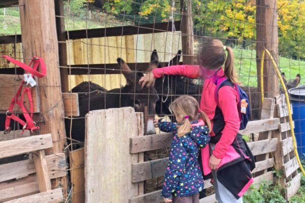 ARIAM – “Chi si nasconde nel bosco?”