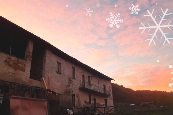 Un altro anno è quasi terminato…?