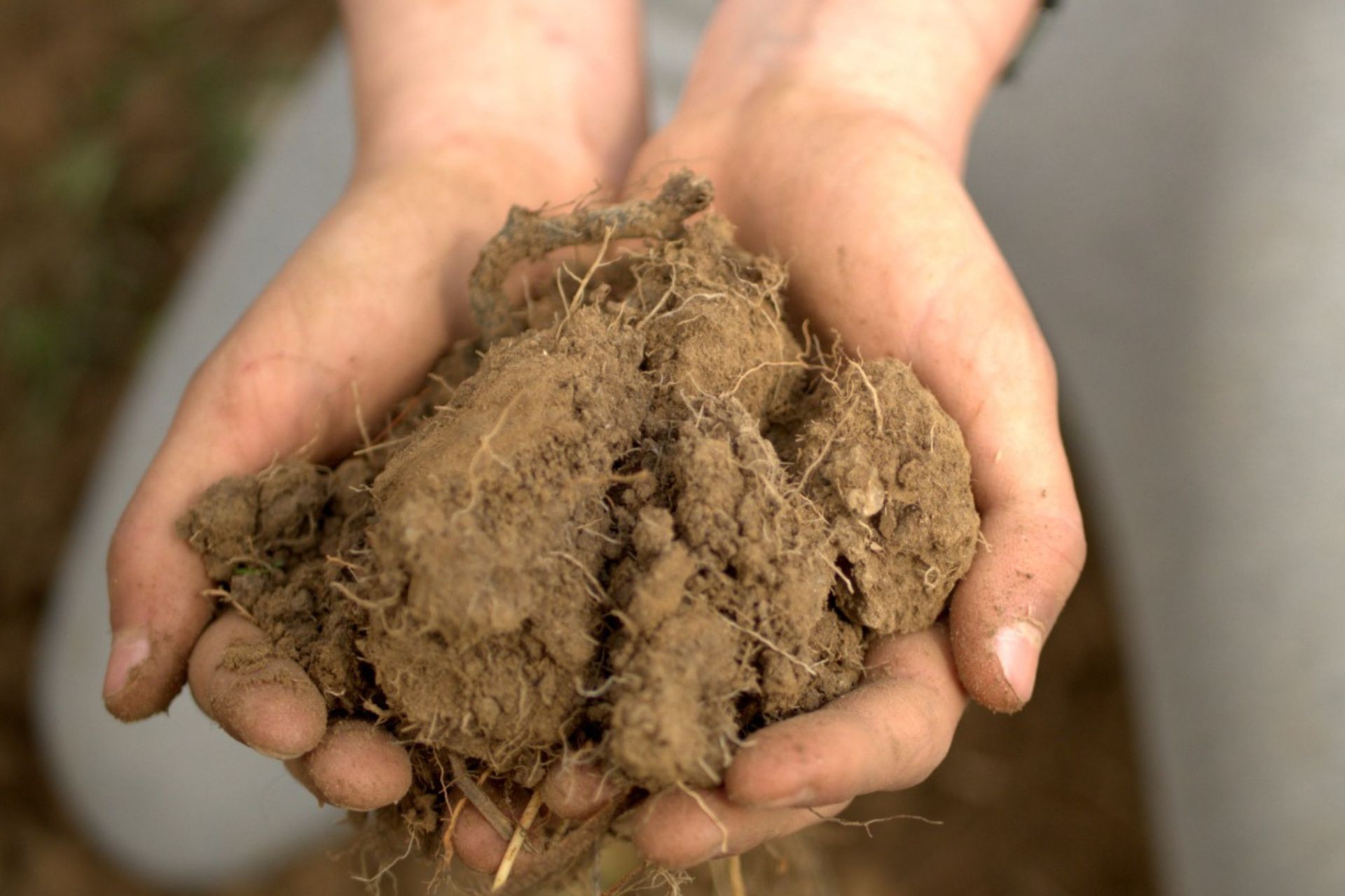 Transizioni – Ritorno alla terra