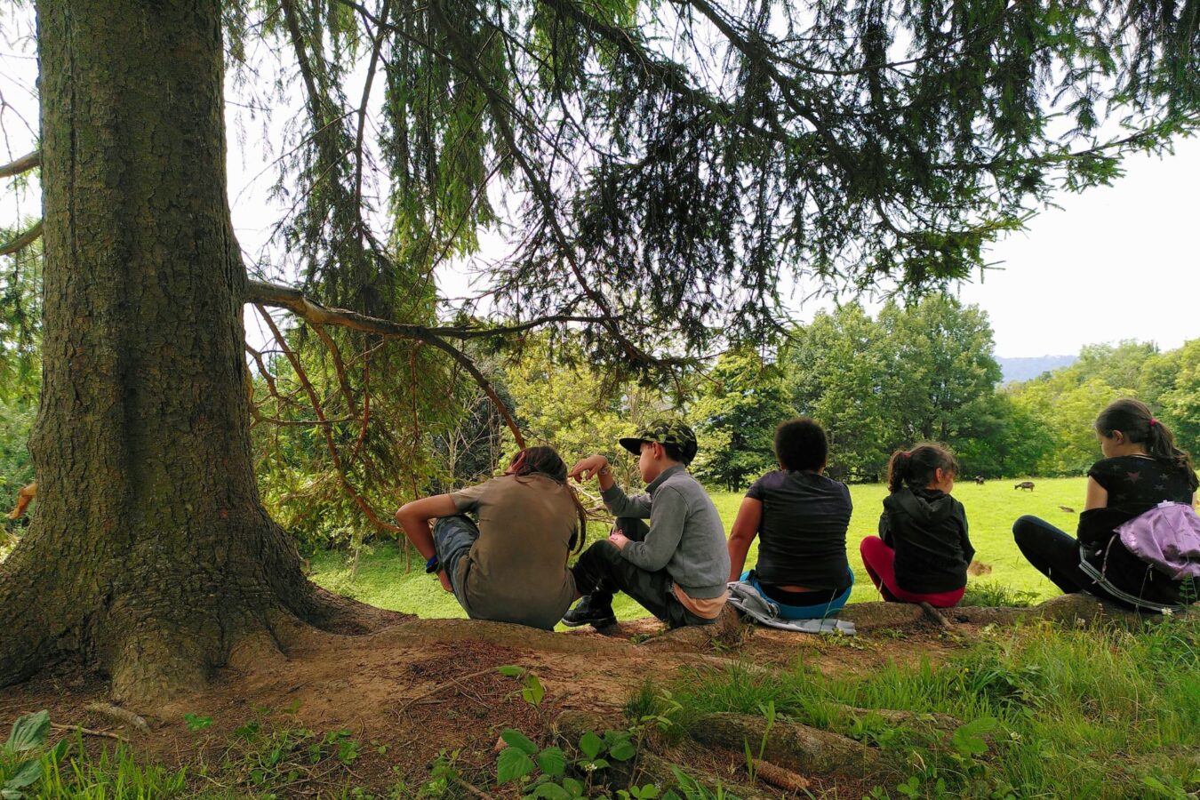 centro estivo outdoor a Cascina Rapello