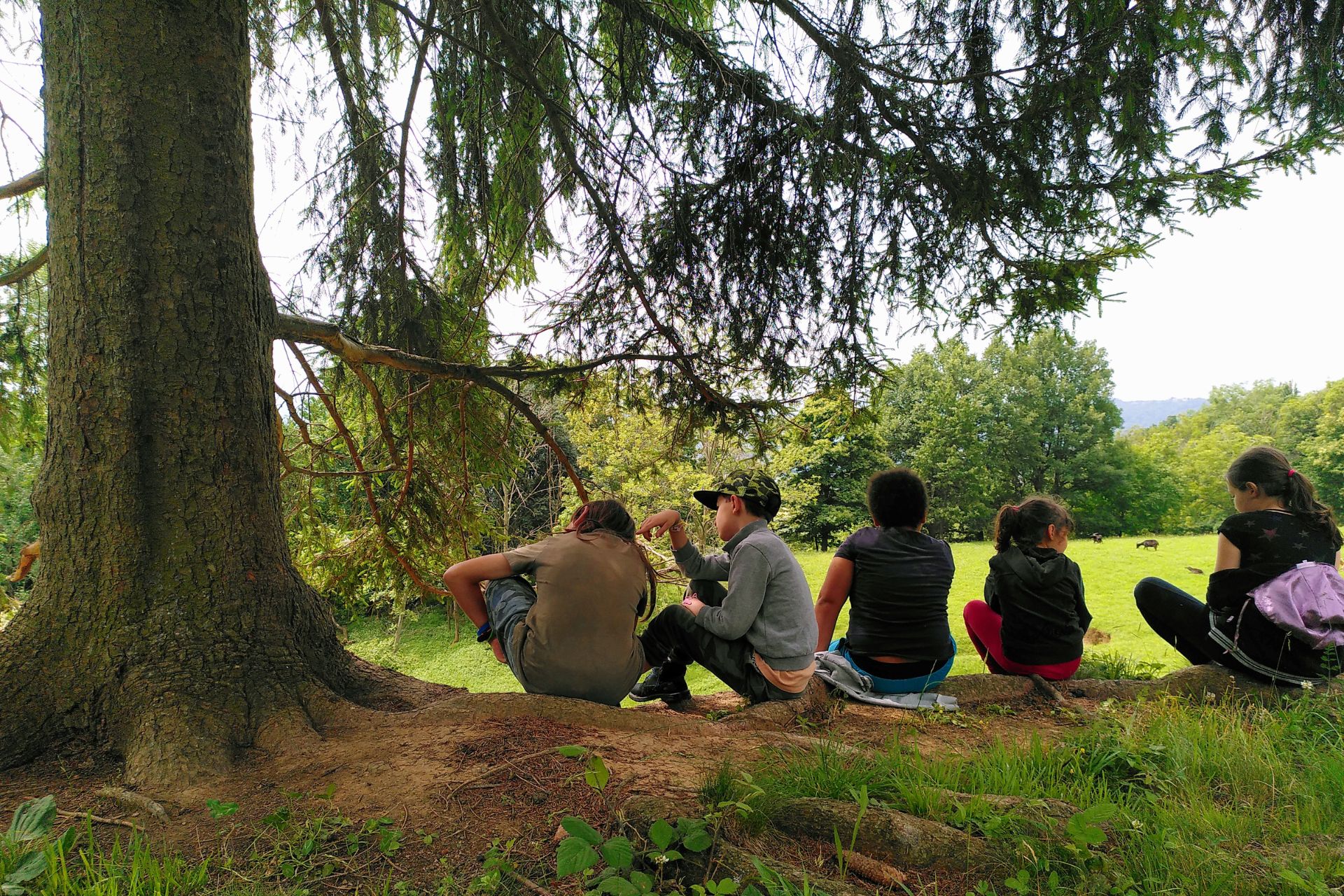 NatuRapello: Centro estivo in natura