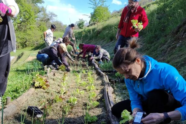 Agri-cultura a Cascina Rapello: percorsi formativi e pre-lavoro grazie ai fondi Otto per Mille della Chiesa Valdese