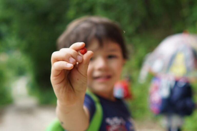 Fragolinando – 16^ edizione