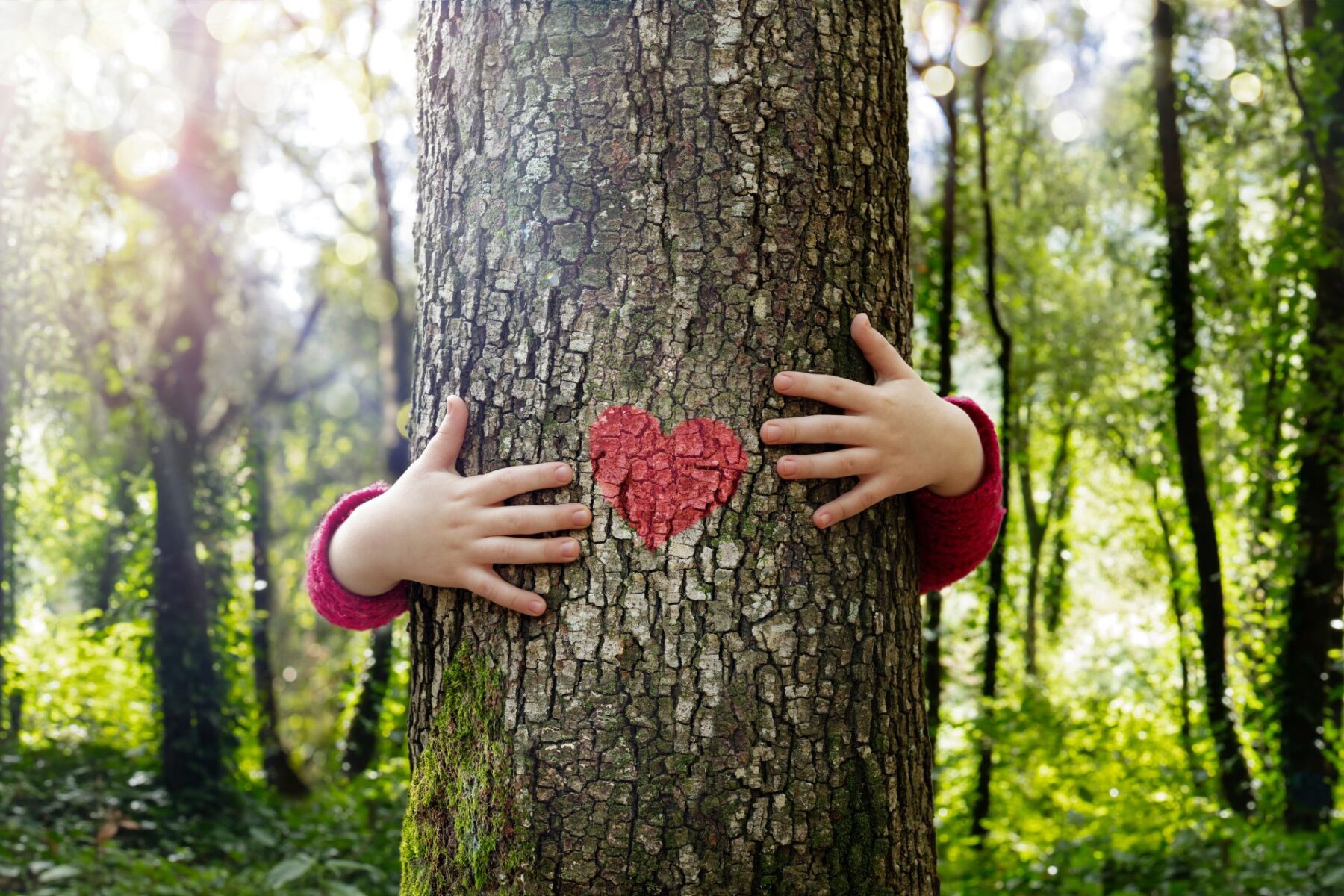 La natura che accoglie