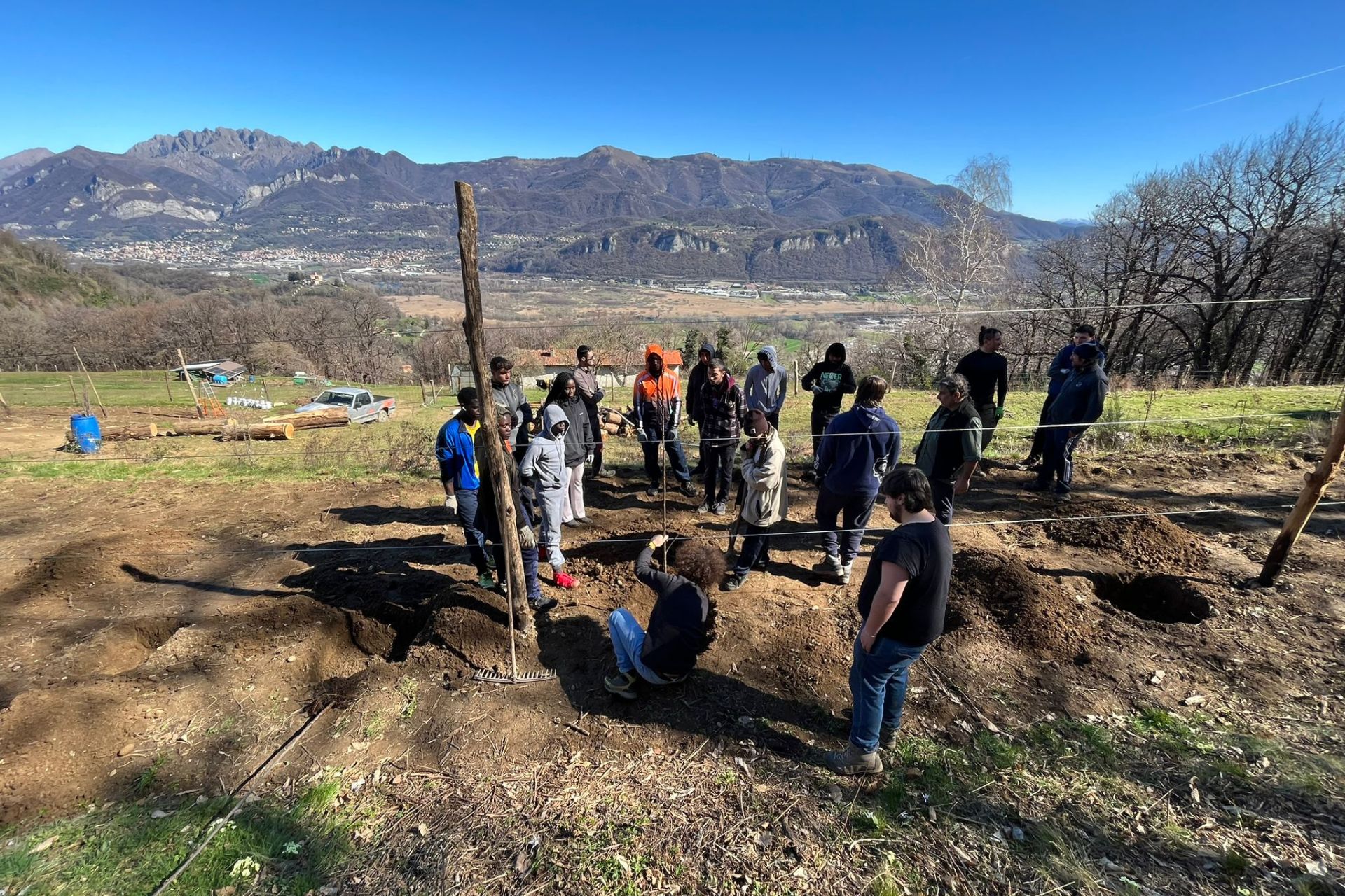 Potature alberi da frutto