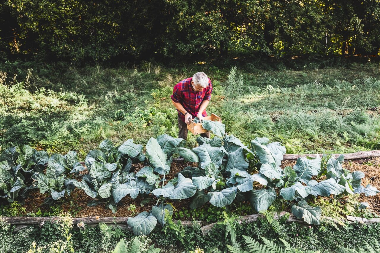 Corso Orto biologico