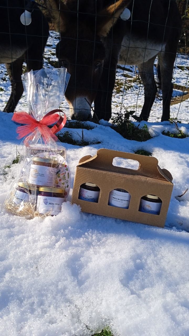 Regali di Natale