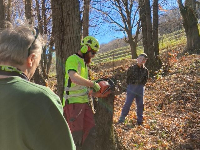 Corso Operatore base Motosega