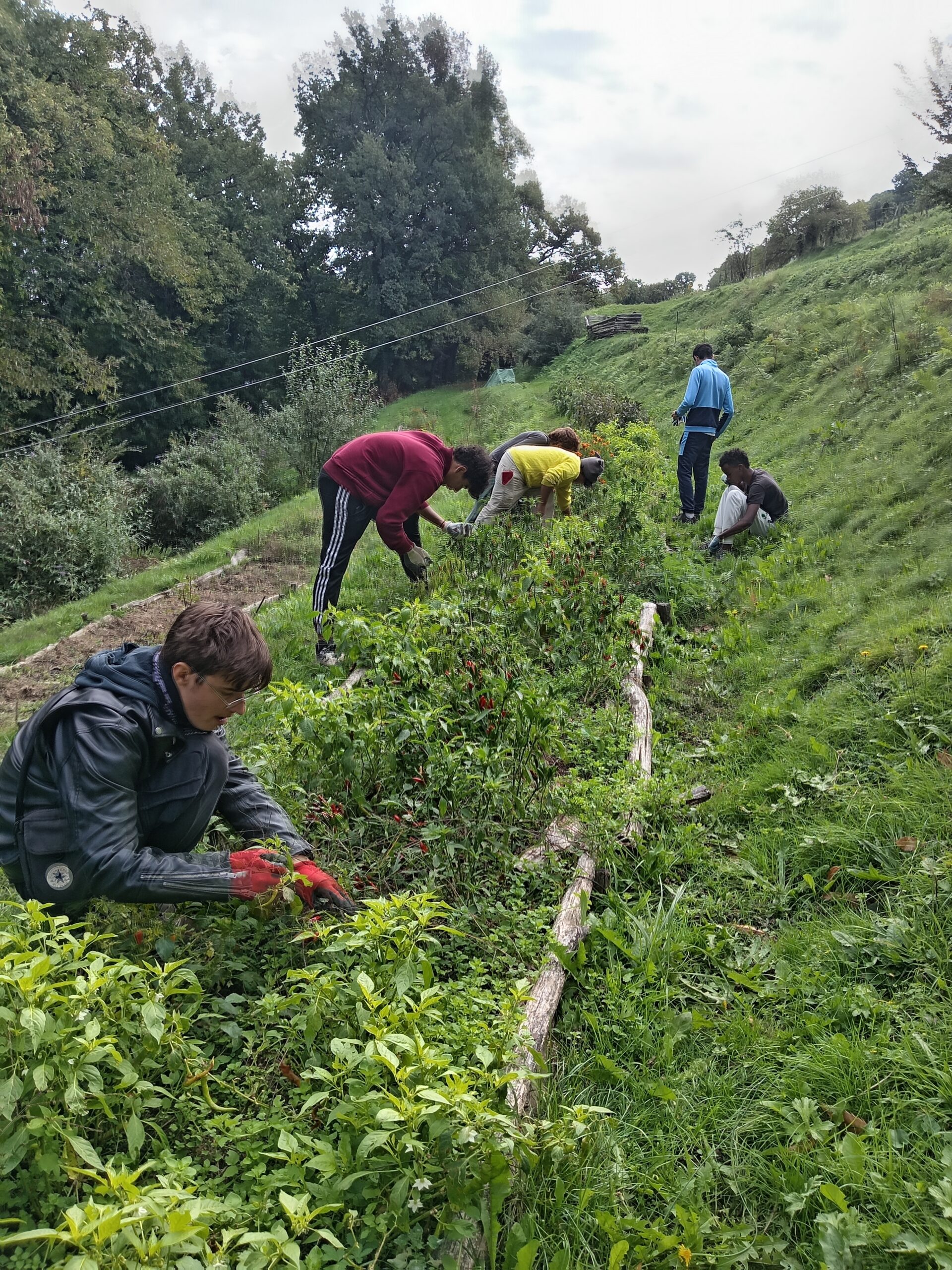 Ritorno alla terra: laboratori agricoli a Cascina Rapello